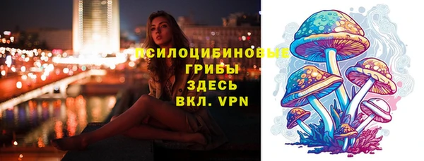 кокс Аркадак